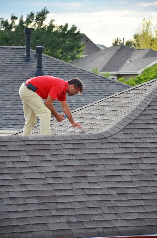 Specialized Roof Inspection Services